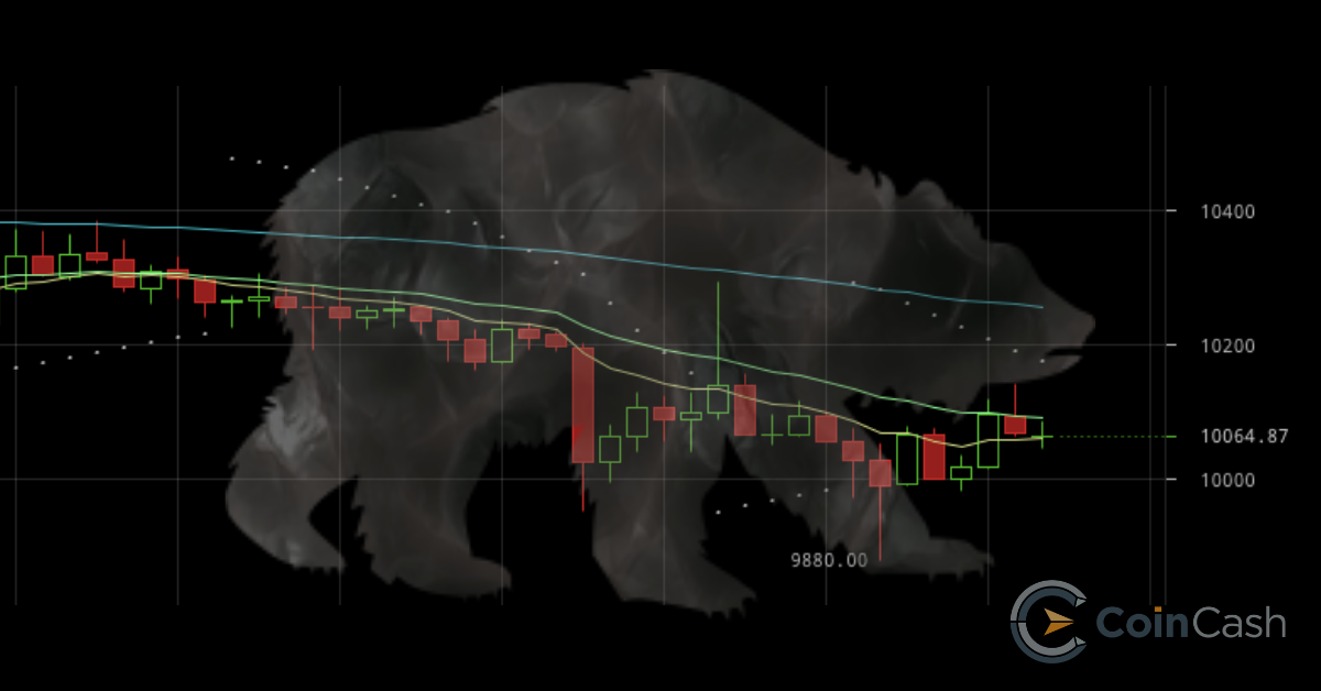 Breakout in google trends, but what about the exchange rate?